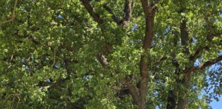 Von Florenz nach Assisi Tag 5