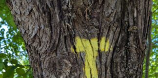 Von Florenz nach Assisi Tag 6