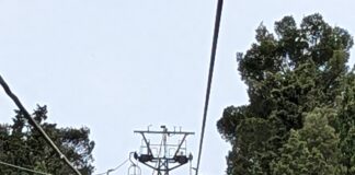 Von Florenz nach Assisi Tag 8